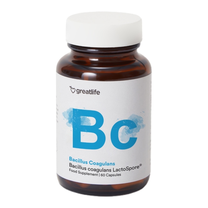 Bacillus Coagulans